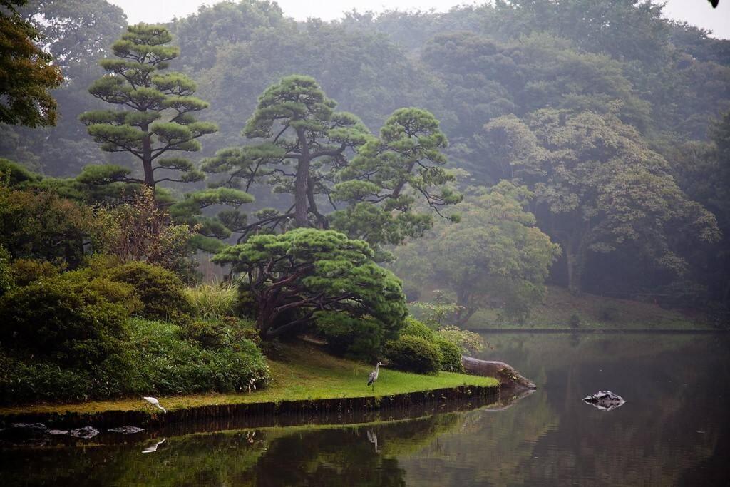 Tora Hotel Tokyo-Rikugienn 寅ホテル 六義園 C 외부 사진